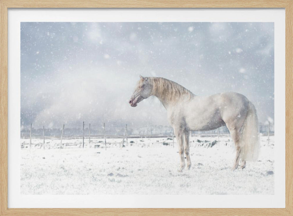 Laat het sneeuwen... | Poster