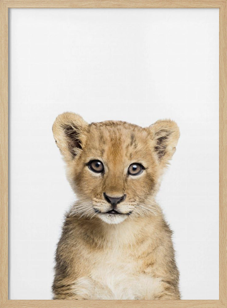 Babyleeuw | Poster