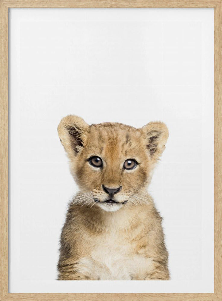 Babyleeuw | Poster