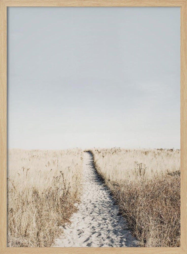 Naar het strand | Poster