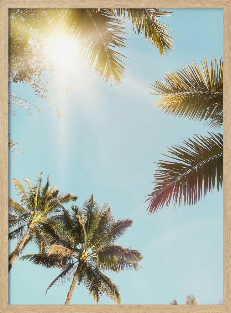 Zonnestralen | Poster