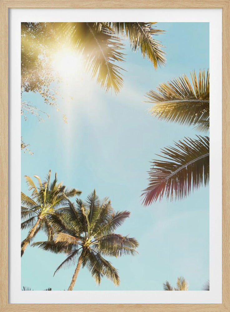 Zonnestralen | Poster