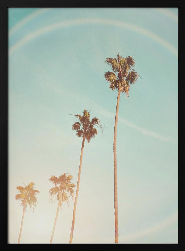 Zonnige Cali-palmboom | Poster