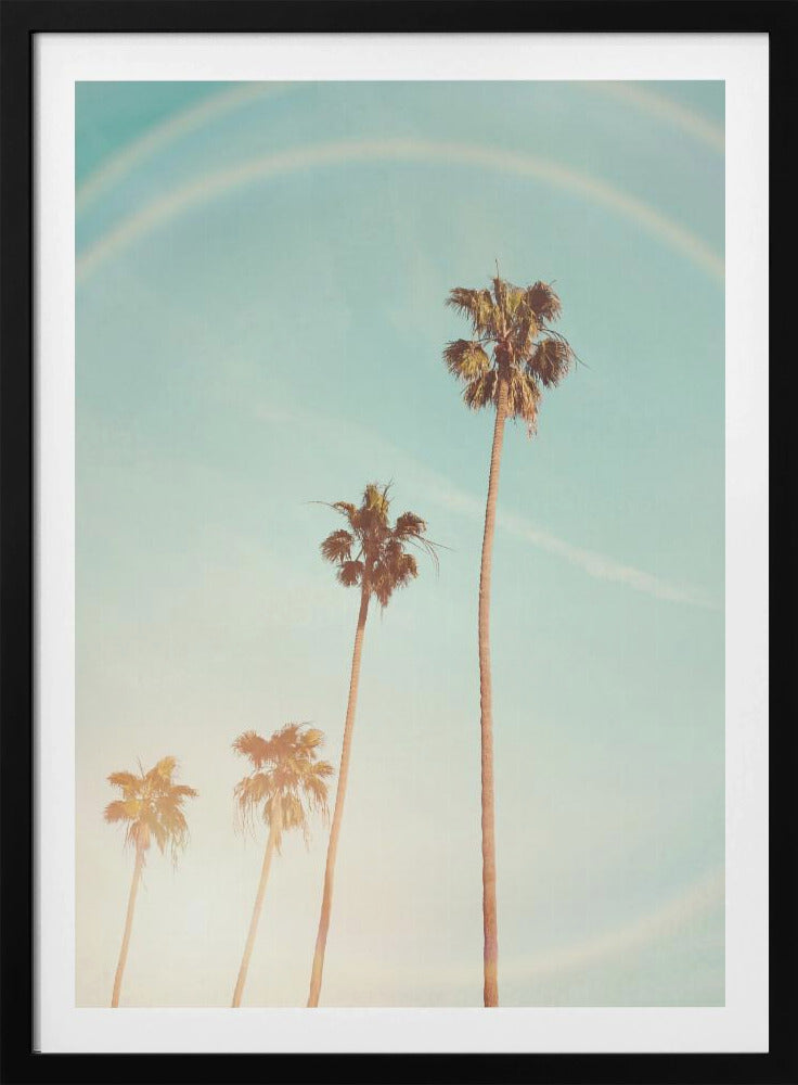 Zonnige Cali-palmboom | Poster
