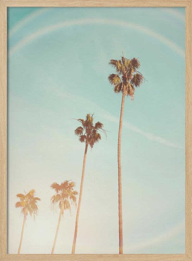 Zonnige Cali-palmboom | Poster