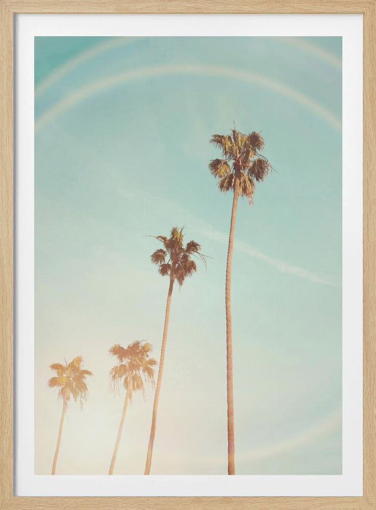 Zonnige Cali-palmboom | Poster