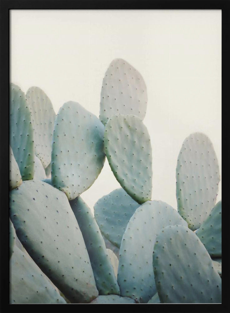 Pastel Cactussen | Poster