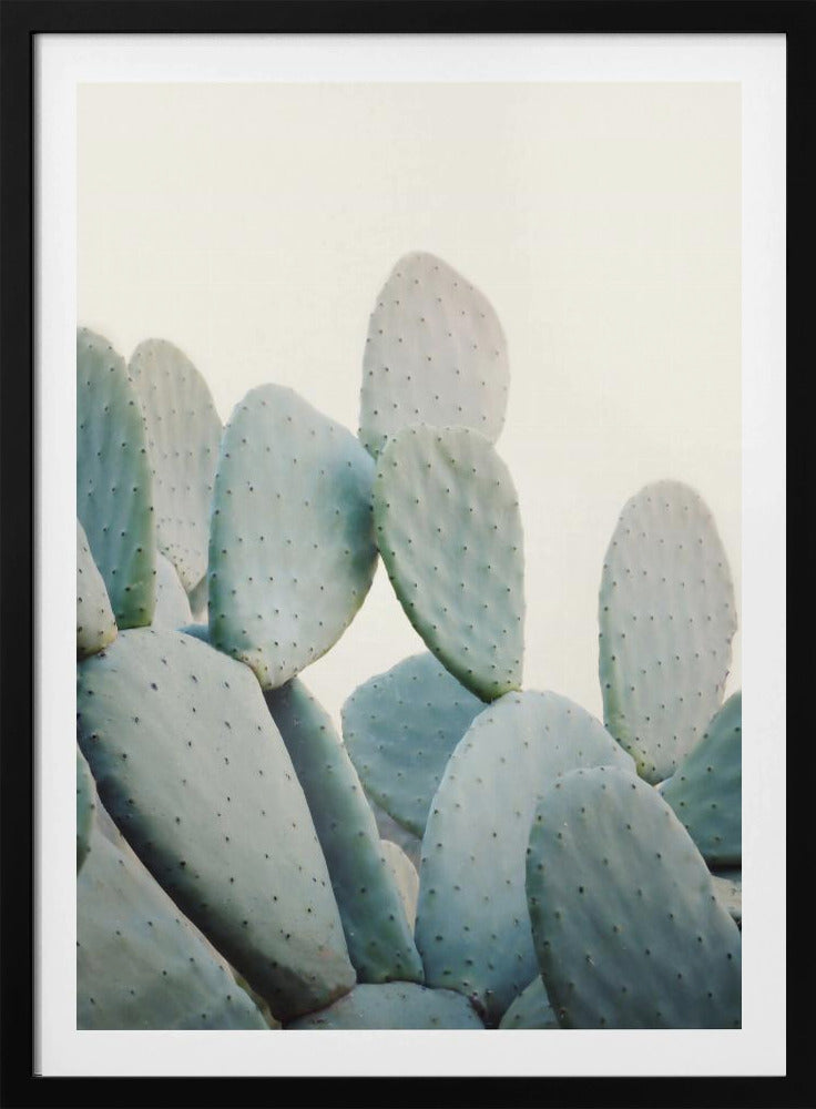 Pastel Cactussen | Poster