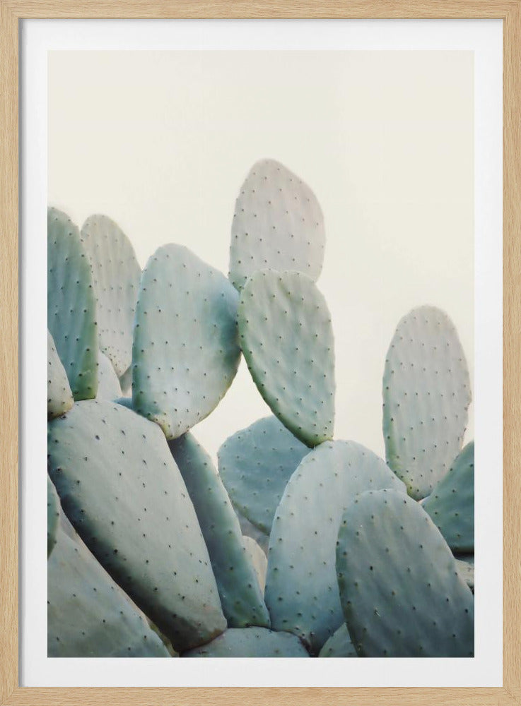 Pastel Cactussen | Poster
