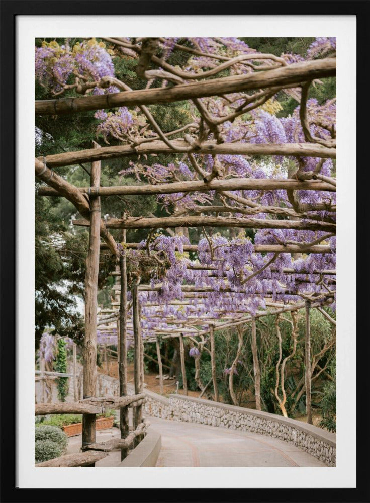 De Lavendelwandeling | Poster