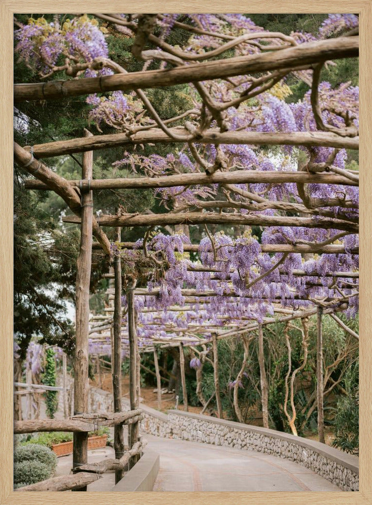 De Lavendelwandeling | Poster