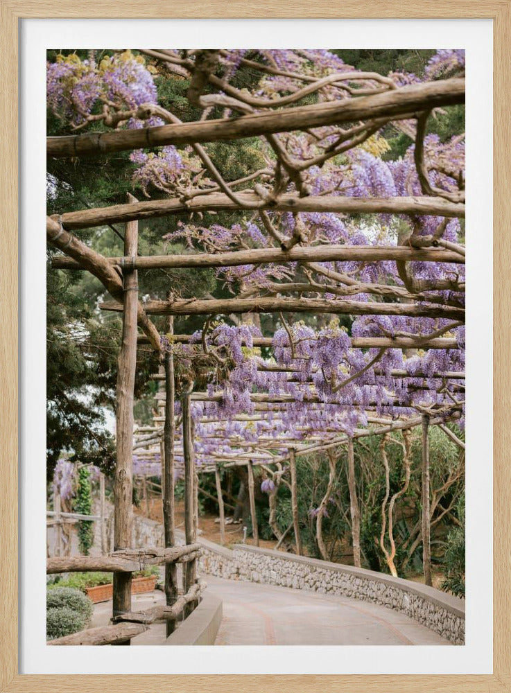 De Lavendelwandeling | Poster