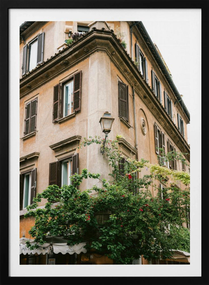 Botanische Trastevere Rome || | Poster