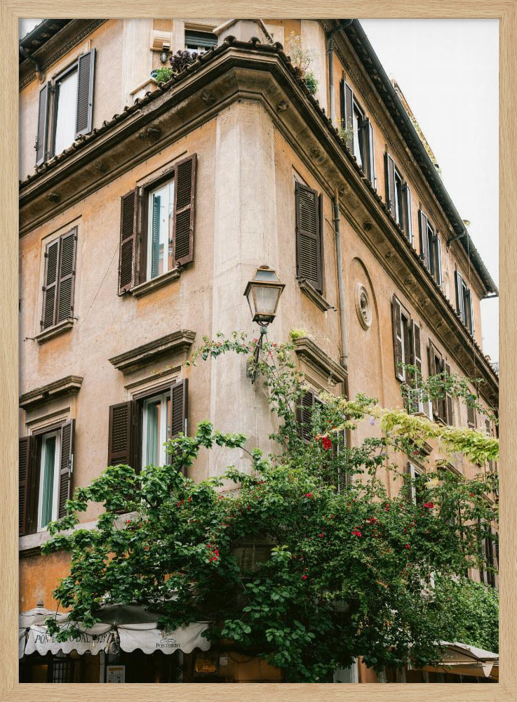 Botanische Trastevere Rome || | Poster