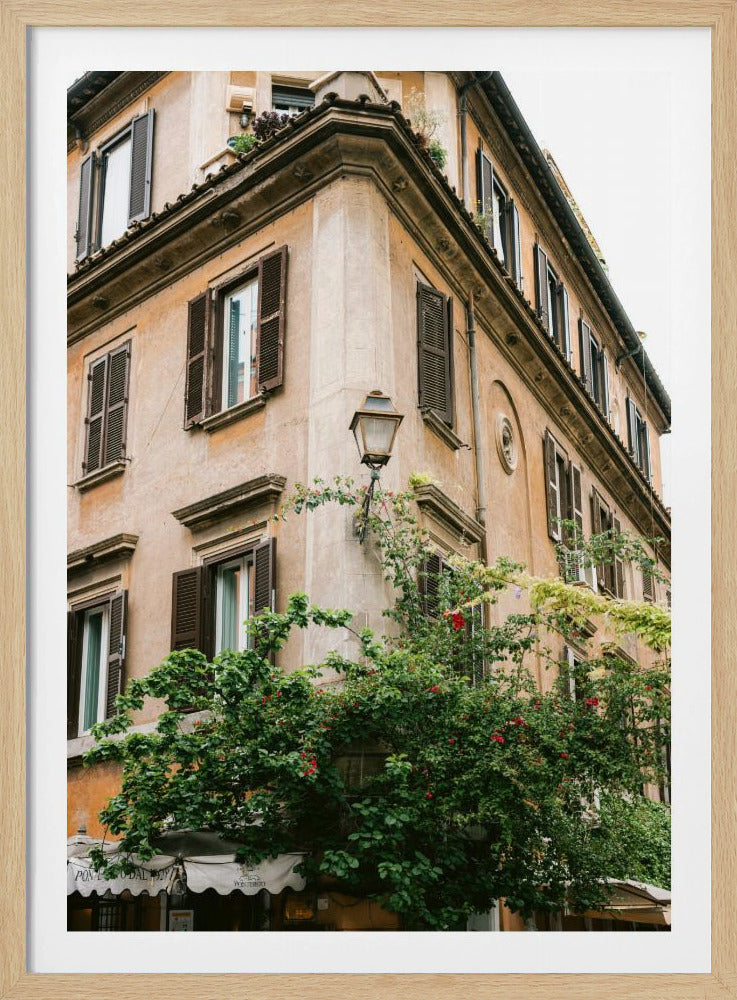 Botanische Trastevere Rome || | Poster