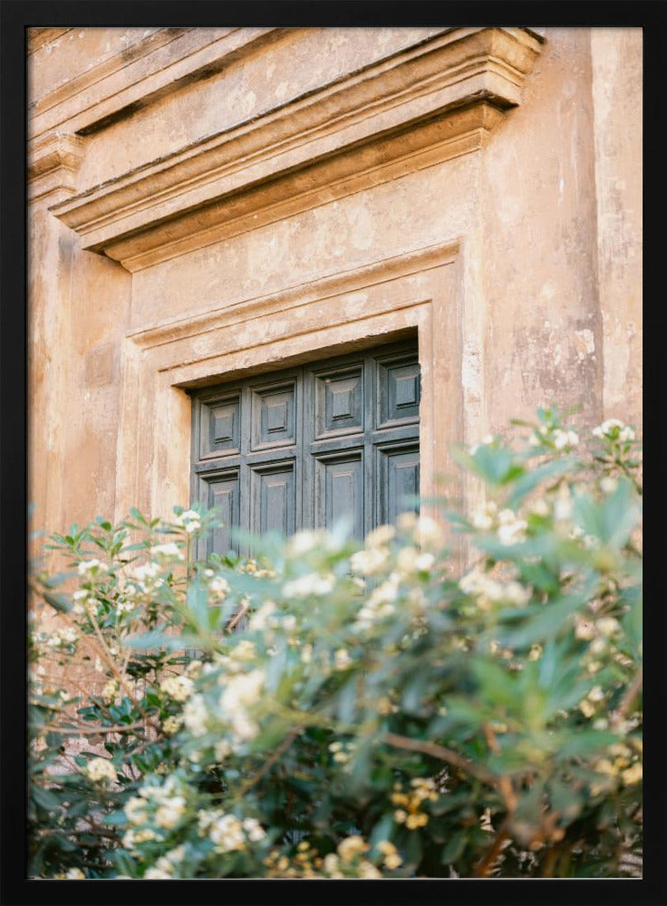 Botanische Trastevere Rome | Poster