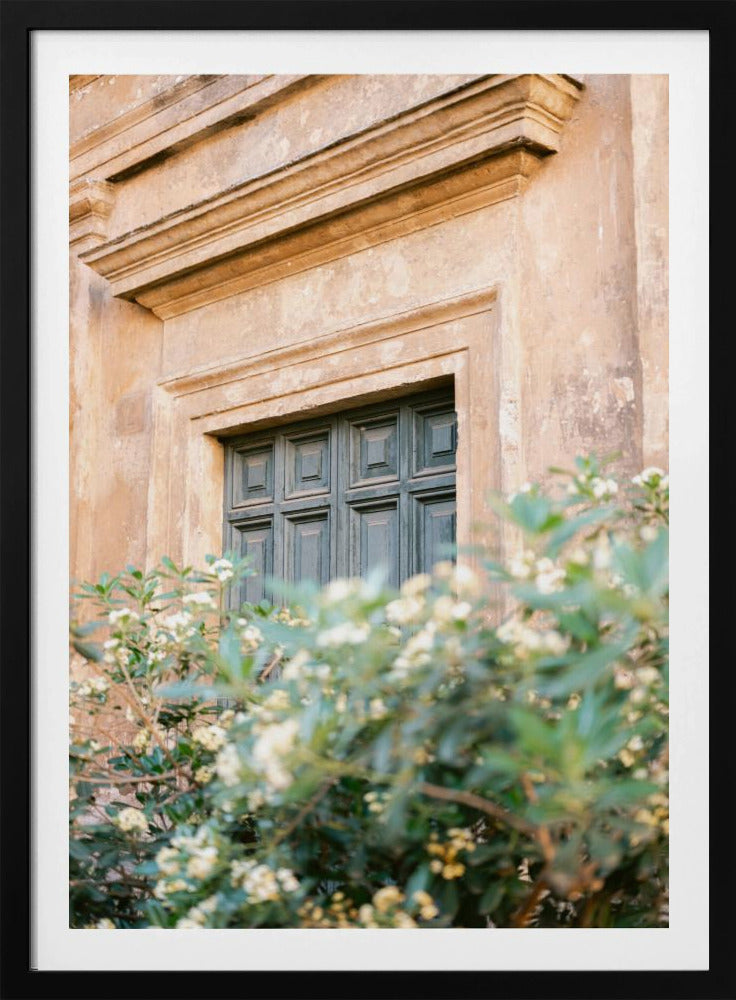 Botanische Trastevere Rome | Poster