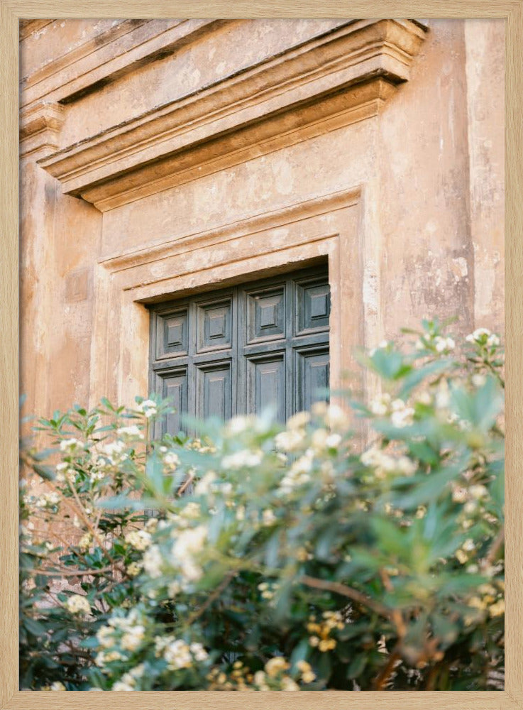 Botanische Trastevere Rome | Poster