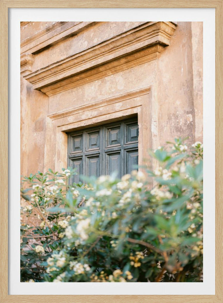 Botanische Trastevere Rome | Poster