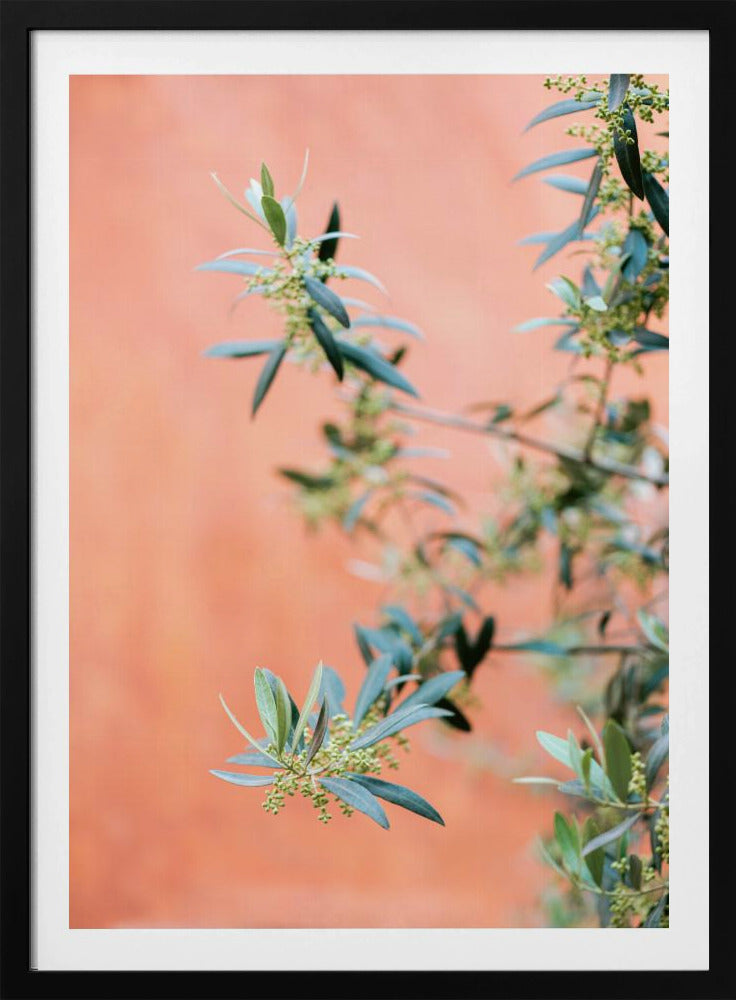 Groen en koraal | Poster