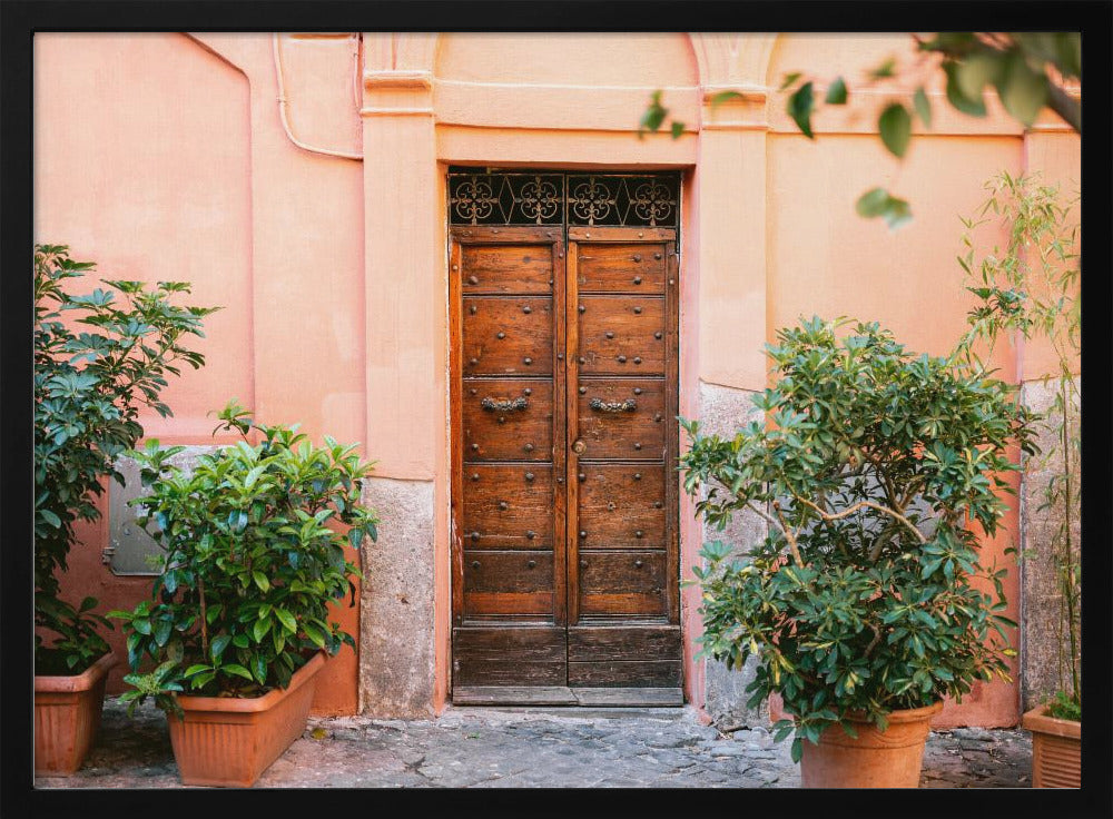 De Trastevere-deur | Poster