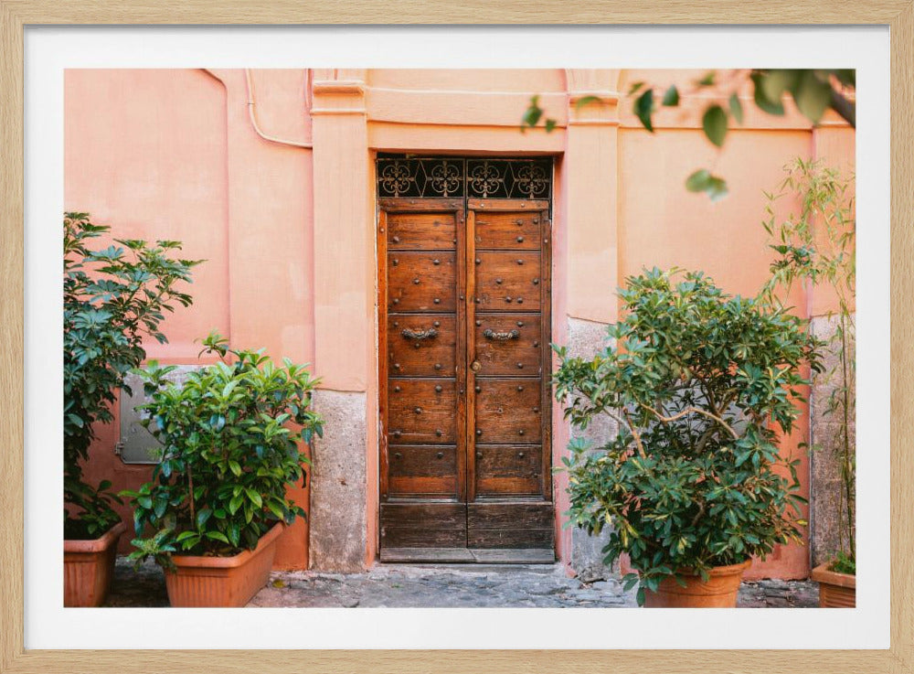 De Trastevere-deur | Poster