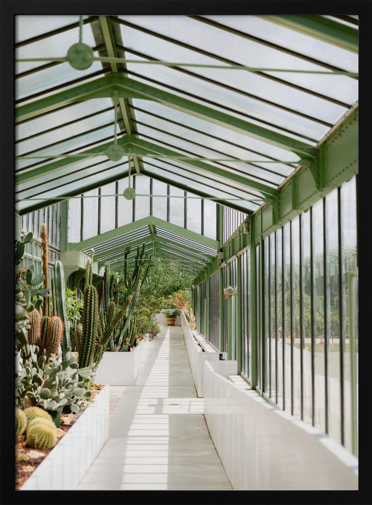 Botanische tuin van Parijs | Poster