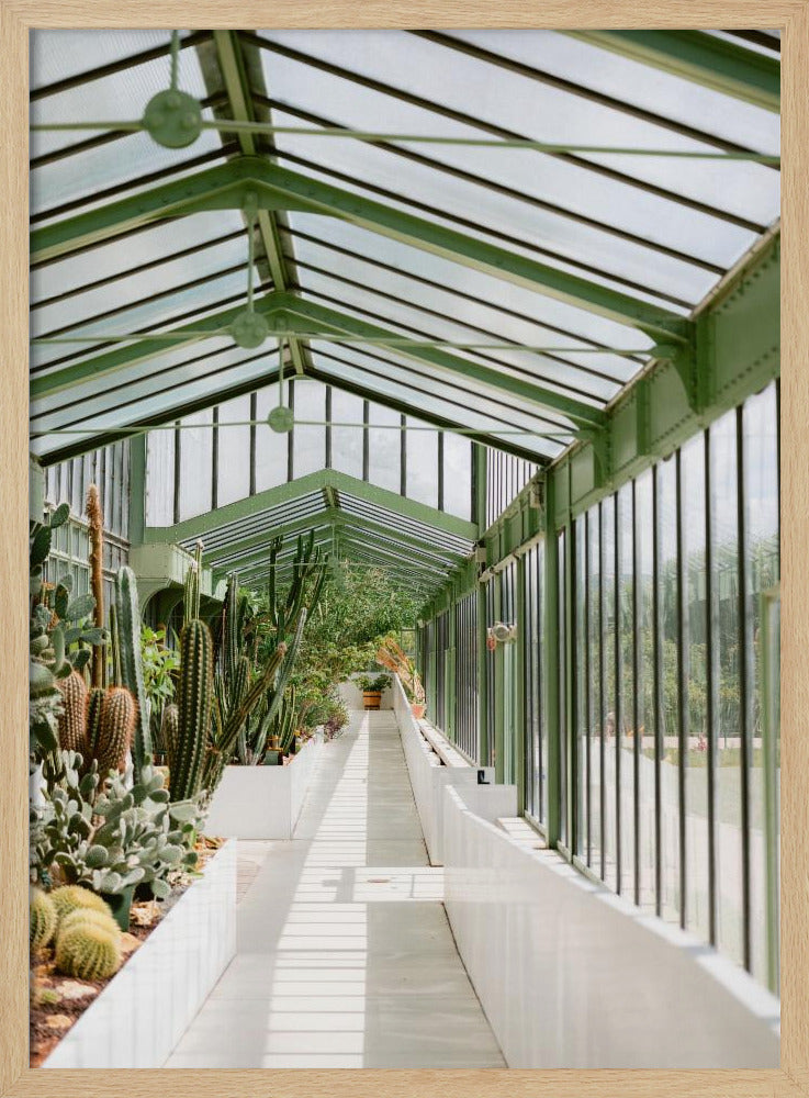 Botanische tuin van Parijs | Poster