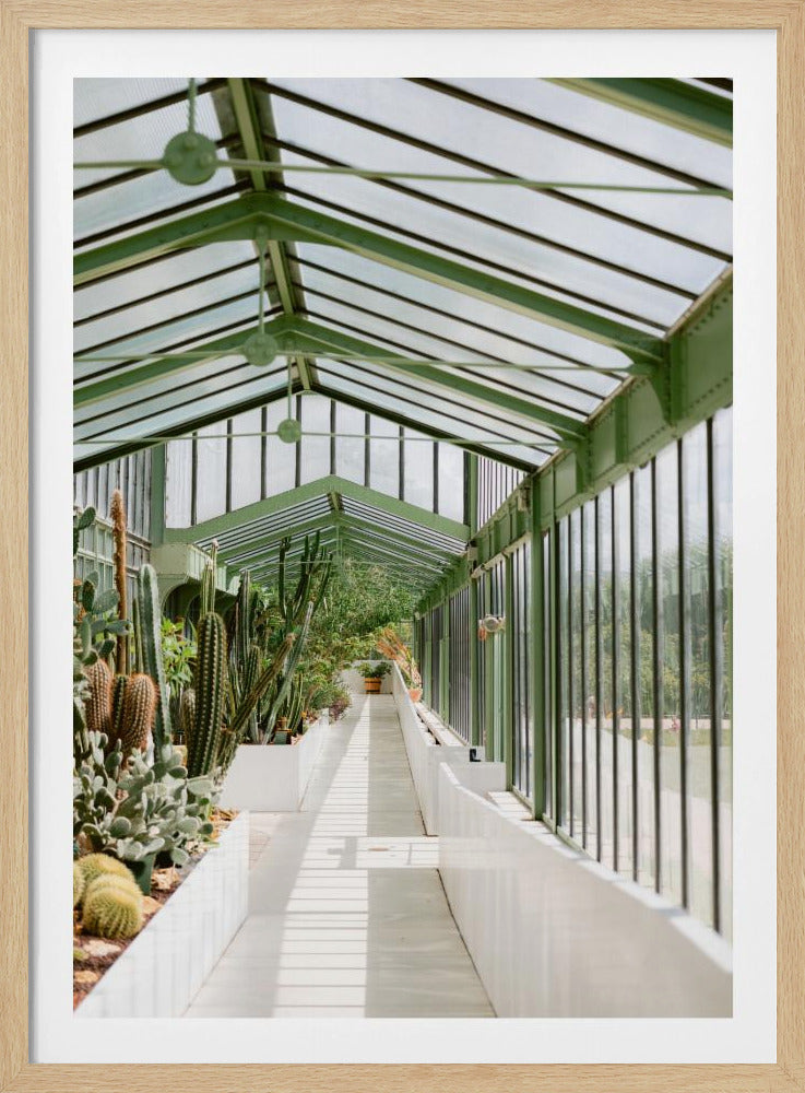 Botanische tuin van Parijs | Poster