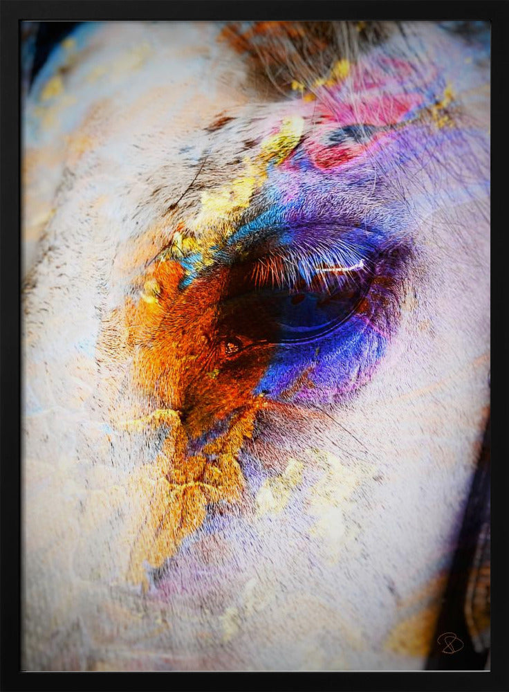 Geschilderd paard | Poster