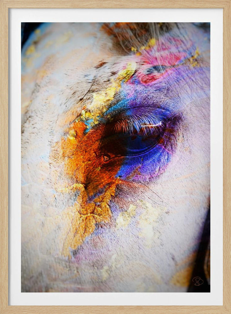 Geschilderd paard | Poster