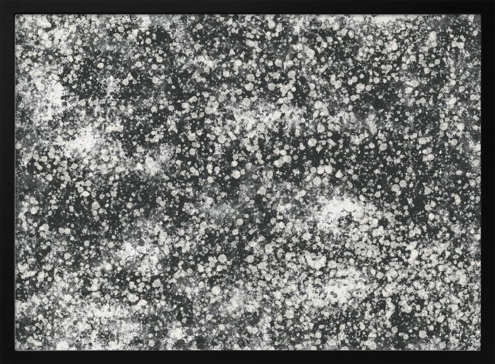 Monochroom spetterpatroon | Poster