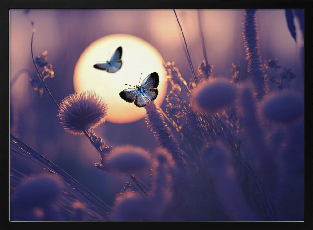 Believe You Can Fly | Poster