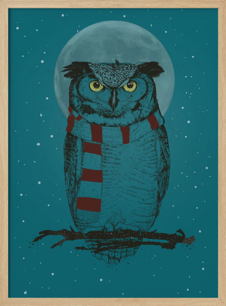 Winteruil | Poster