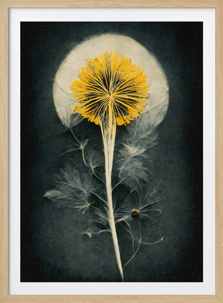 Hemelse Bloei | Poster