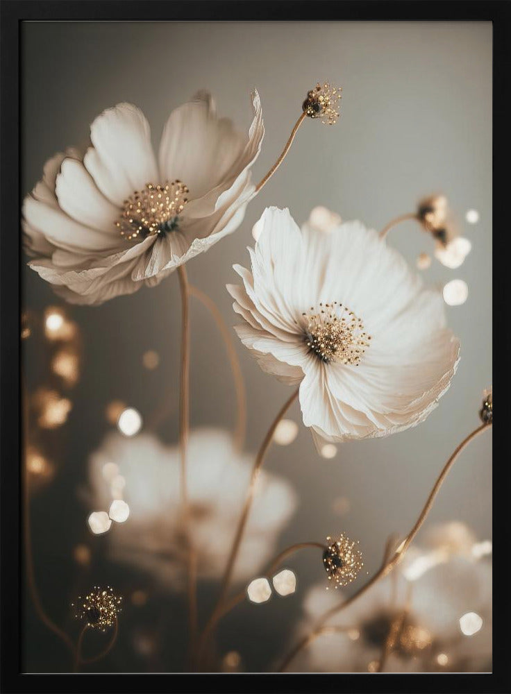 Bloemblaadjesgloed | Poster