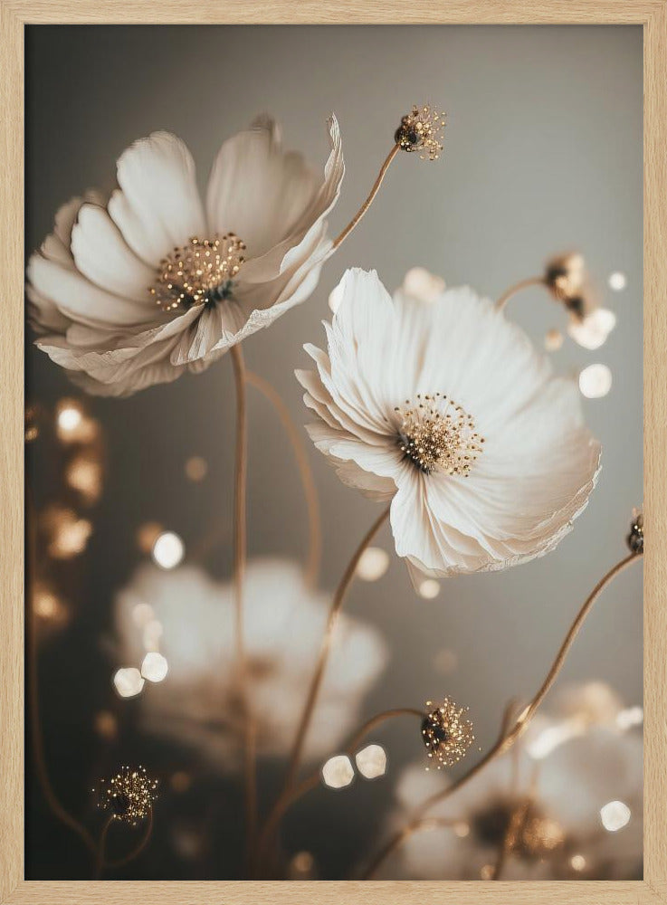 Bloemblaadjesgloed | Poster