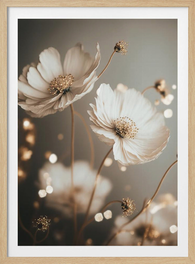 Bloemblaadjesgloed | Poster