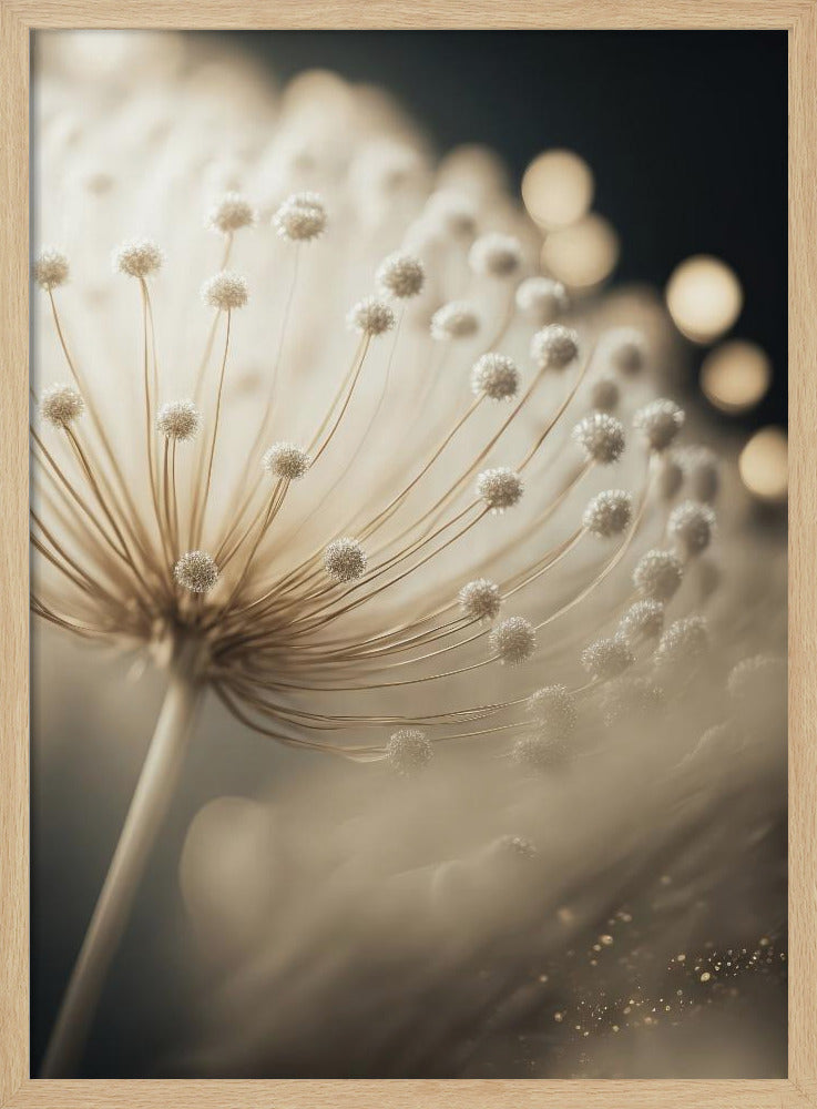 Fluisterende Zaden | Poster