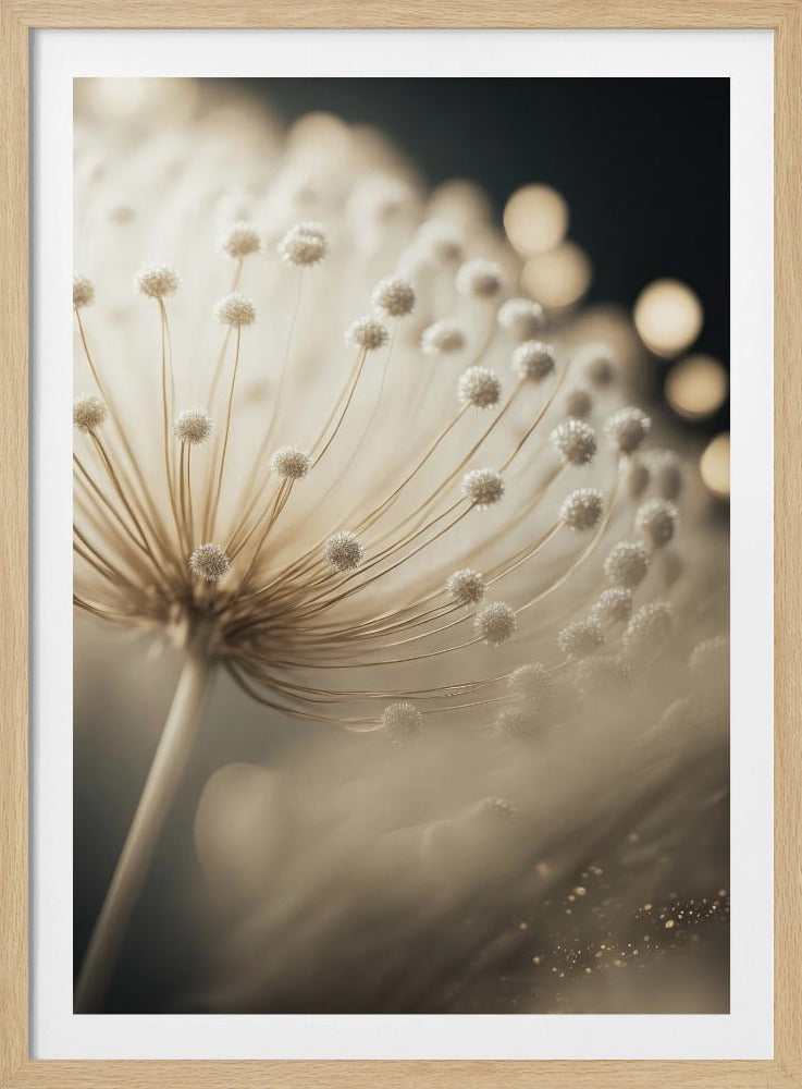 Fluisterende Zaden | Poster