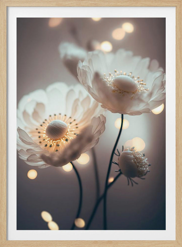 Dromerige bloesems | Poster