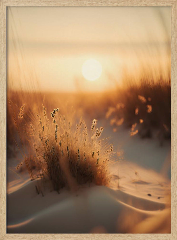 Gouden Duin Fluister | Poster