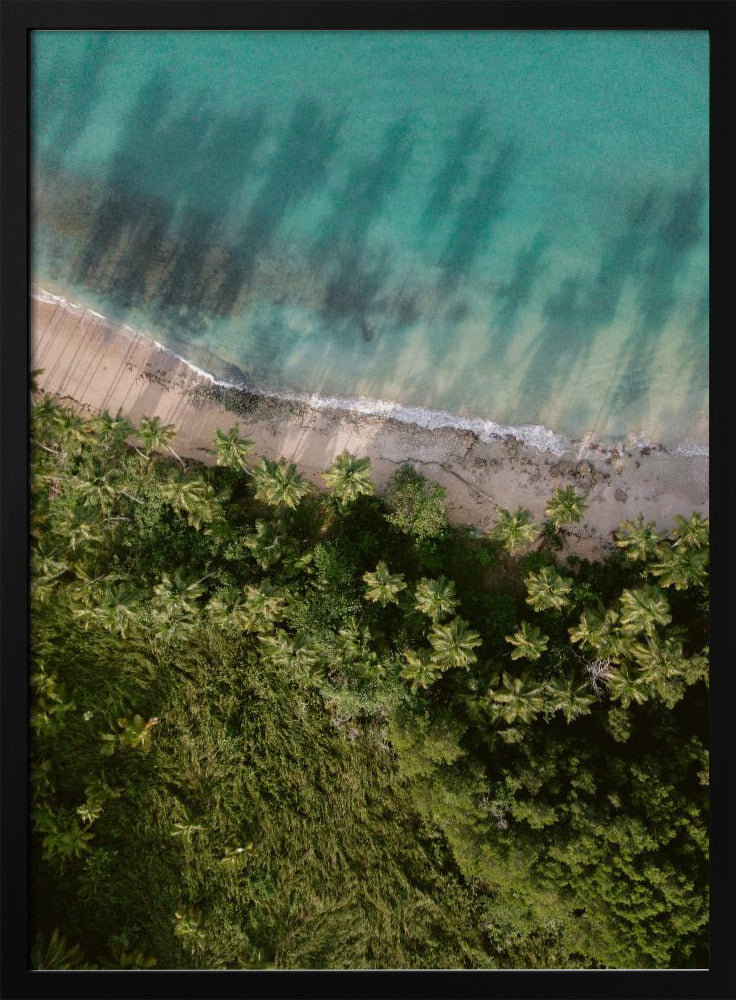 Palm Beach van bovenaf | Poster