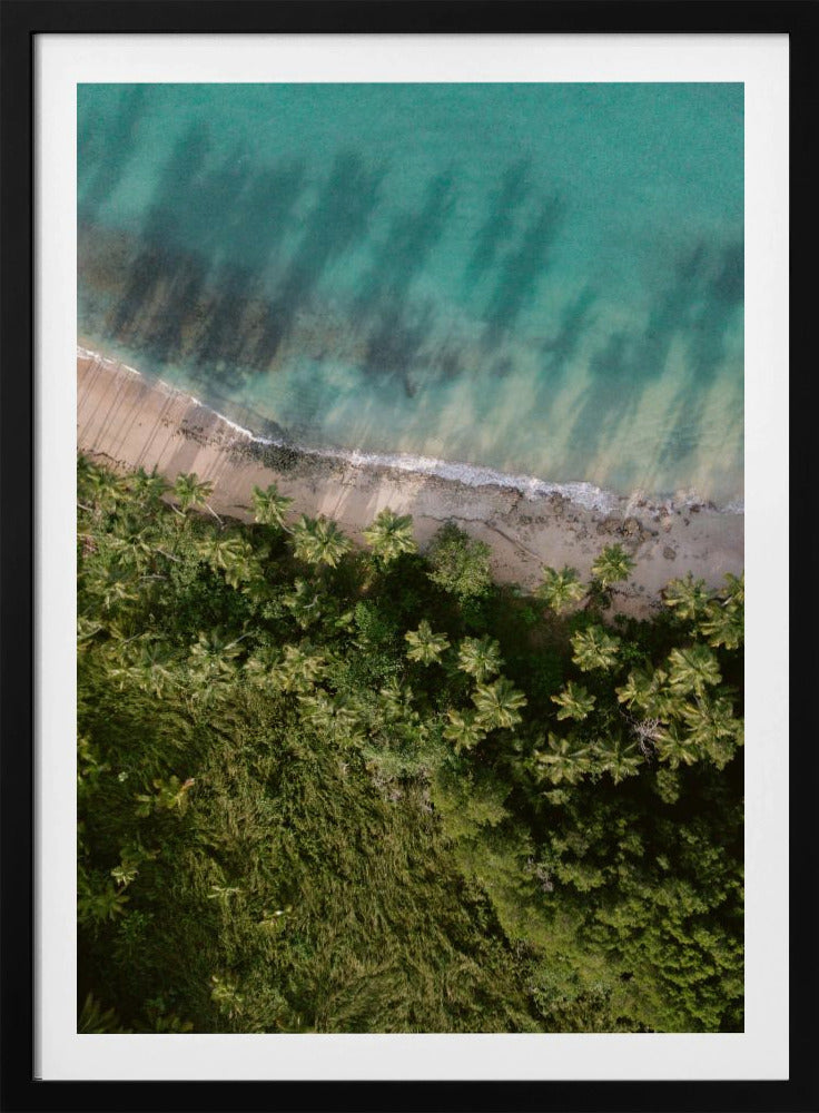 Palm Beach van bovenaf | Poster
