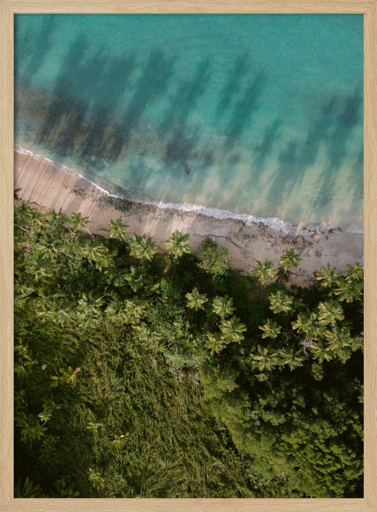 Palm Beach van bovenaf | Poster