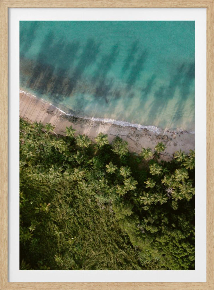 Palm Beach van bovenaf | Poster