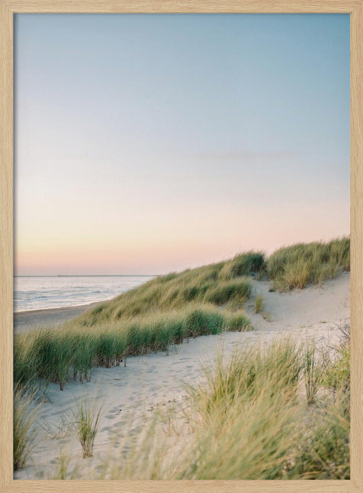 Nederlandse Duinen | Poster