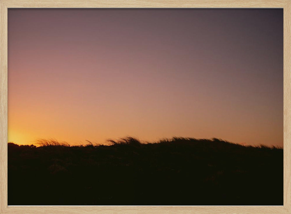 Duingras zonsondergang horizontaal | Poster