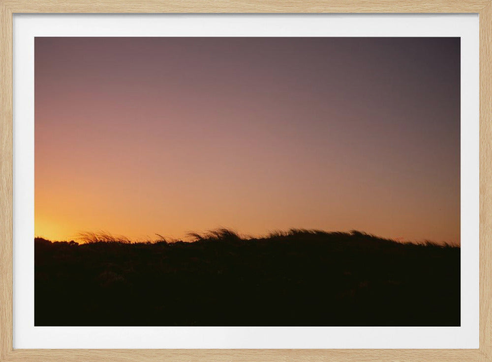 Duingras zonsondergang horizontaal | Poster