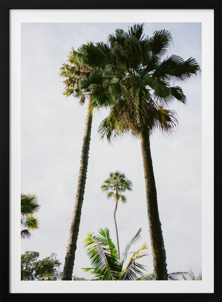 Vind mij onder de palmboom | Poster